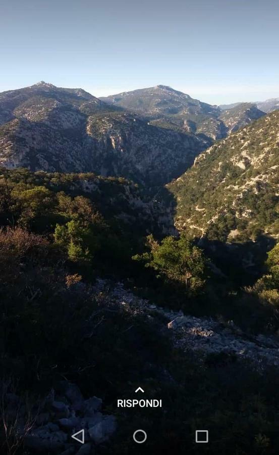 Corraleddu Apartments Dorgali Εξωτερικό φωτογραφία